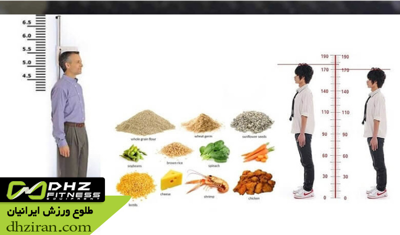 تغذیه و مکمل های موثر برای رشد قد سریع‌ تر 