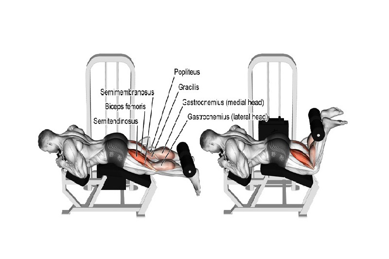 برنامه تمرینات پا در بدنسازی