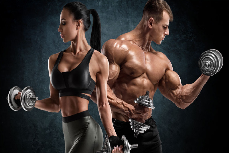 برنامه بالاتنه بدنسازی