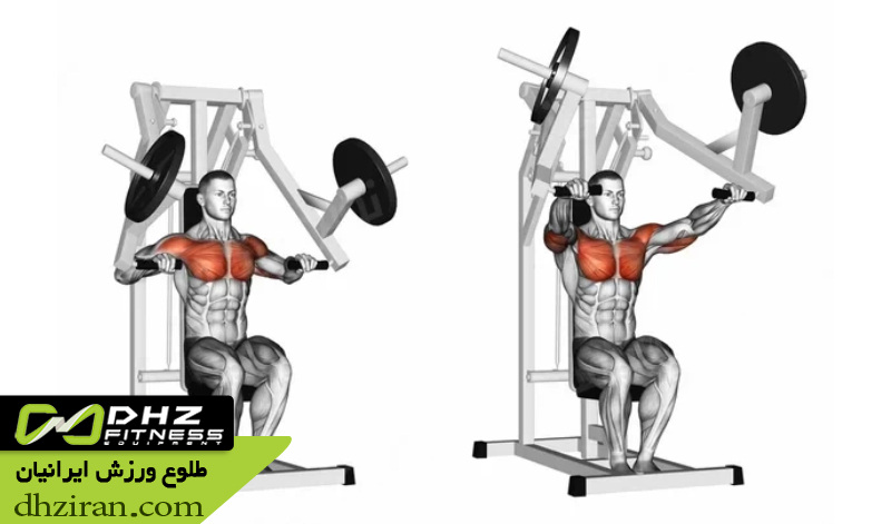 پرس سینه و تقویت عضلات سینه