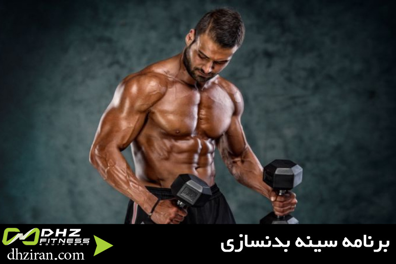 برنامه سینه بدنسازی