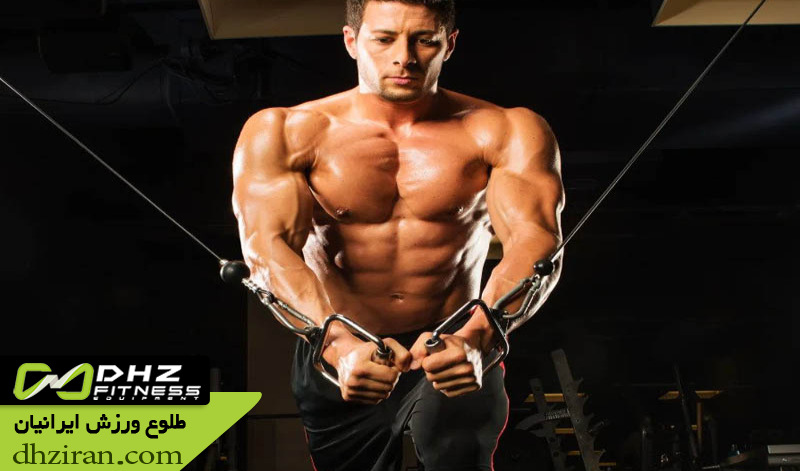 بهترین حرکات برای برنامه سینه بدنسازی