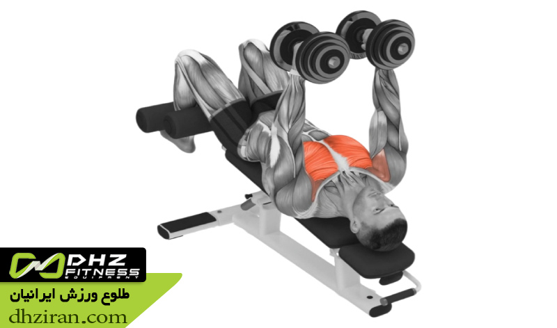 فلای دمبل با شیب منفی