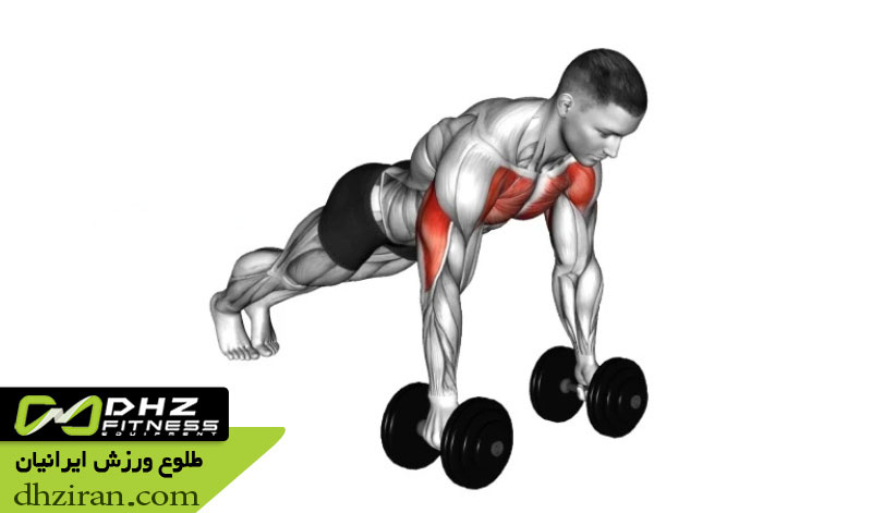 پوش آپ با دمبل 