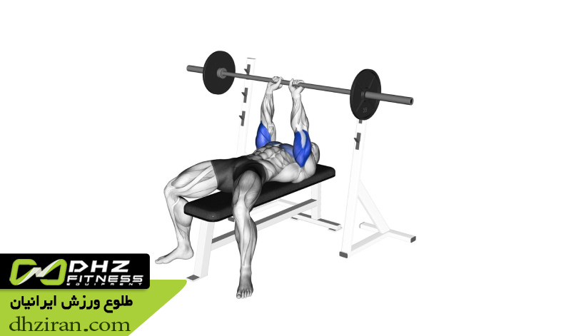 پرس هالتر دست جمع