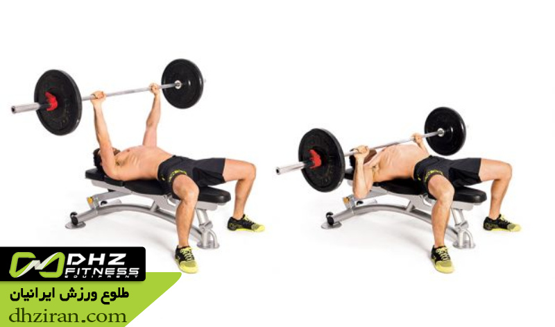 پرس سینه هالتر روی نیمکت صاف 