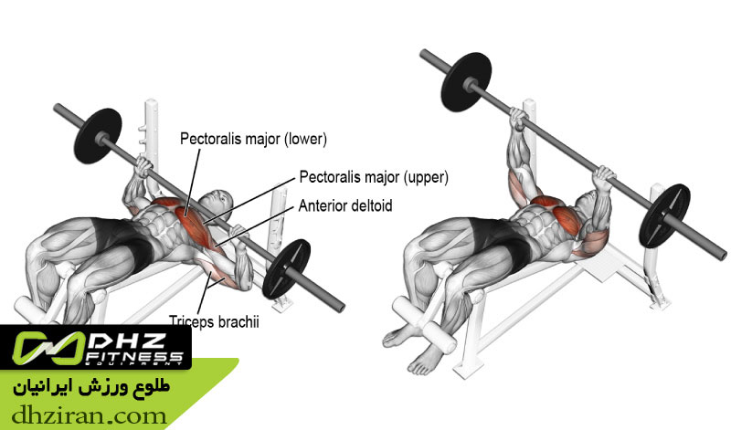 پرس سینه هالتر با شیب منفی