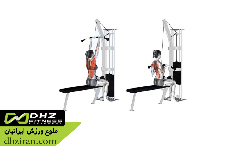 لت سیم کش از جلو (Lat Pulldown Front): 