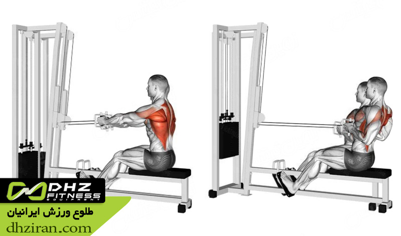 روینگ با سیم کش نشسته (Seated Cable Row): 