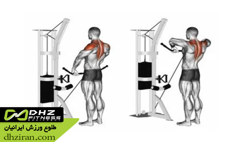 روینگ ایستاده با طناب (Cable Upright Row): 