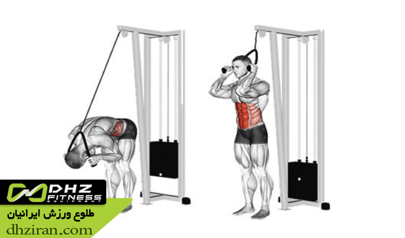 کرانچ با سیم کش (Cable Crunch): 