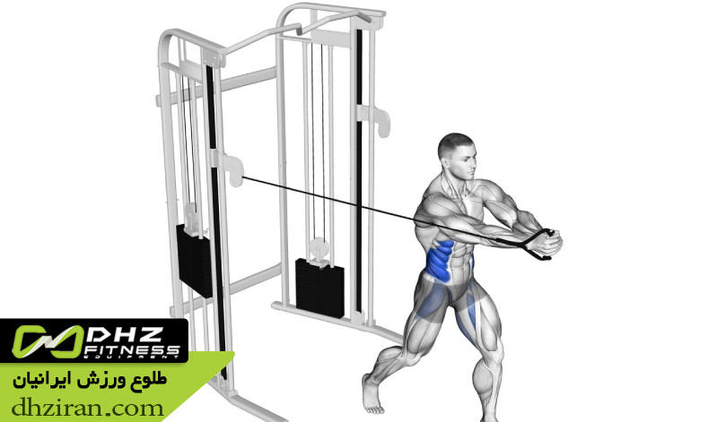 چرخش تنه با سیم کش (Cable Woodchopper): 