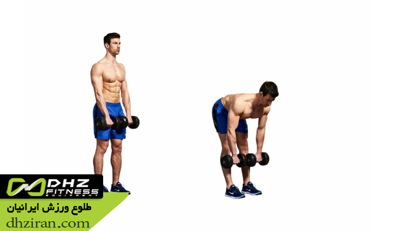 ددلیفت رومانیایی با دمبل سبک 