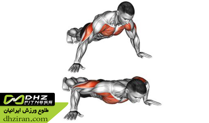 شنا دست باز 