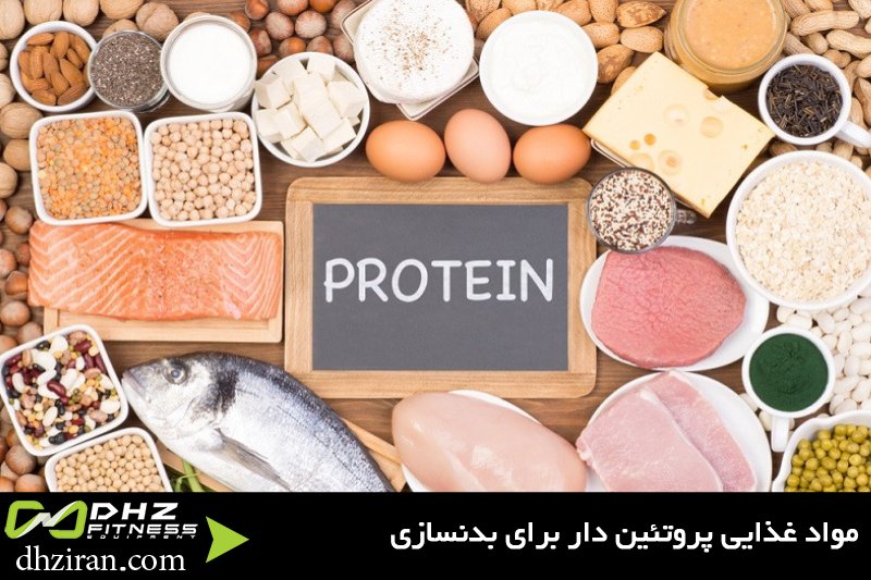 مواد غذایی پروتئین دار برای بدنسازی 