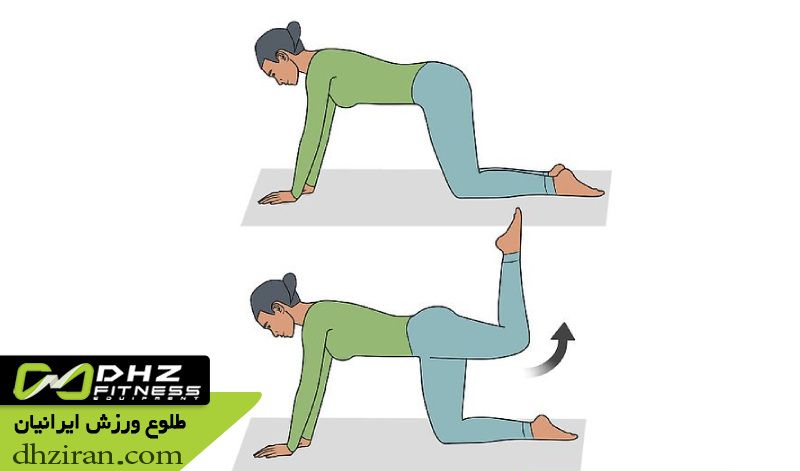 کیک بک باسن Glute Kickback 