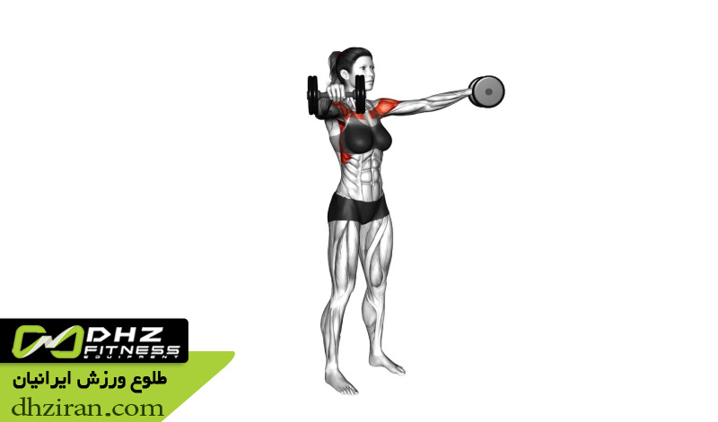 نشر جانب Lateral Raise: 